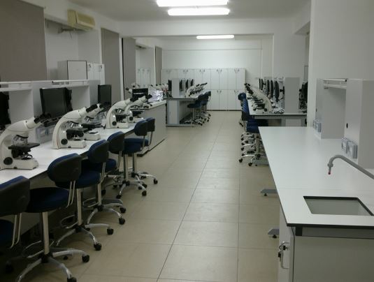 LABORATORY BENCHES AND SURFACES