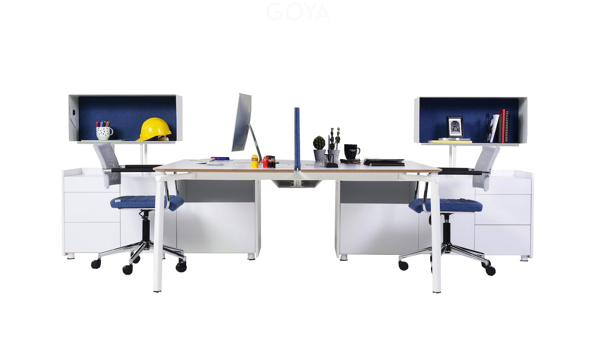 Goya